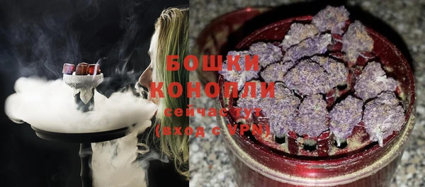 PSILOCYBIN Богданович