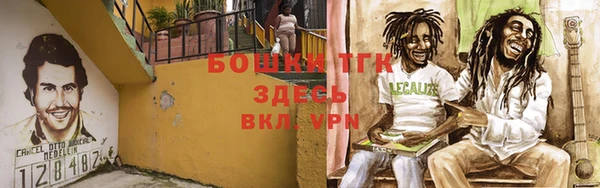 таблы Богородицк